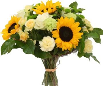 bukiet słoneczników z dostawą, florystyczna poczta, kwiatowa dostawa na terenie całej Polsk, kup słoneczniki online kwiaciarnia tania kwiaty porta.pl