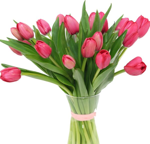 bukiet z tulipanów dostawa kwiaciarnia internetowa kwiaty portal.pl