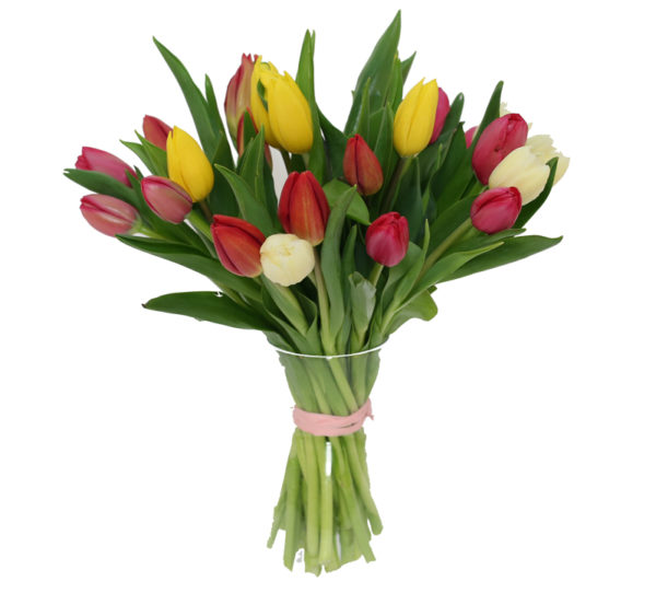 bukiet tulipanów kolorowych z dostawą do domu pocztą z kwiatami, kup online bukiet tulipanów