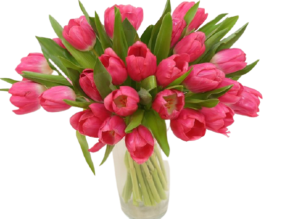 tulipany z dostawą pocztą, kwiaciarnia internetowa florystyczna poczta