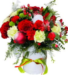 flower box na Boże narodzenie z dostawą do domu, kup online kwiaty na święta Bożego Narodzenia i wyślij pocztą
