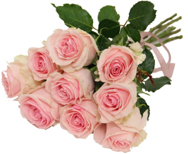 bukiet 9 róż, różowych kwiaciarnia internetowa Toruń