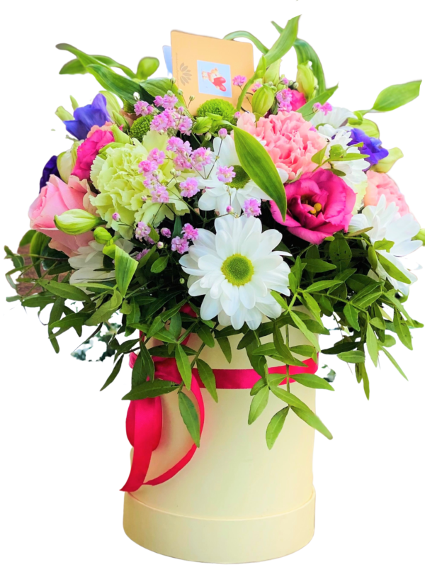 flower boxs kwiaty w pudełku olśnienie z dostawą do domu, tania poczta z kwiatami dostawa za 0zł kwiaty portal.pl