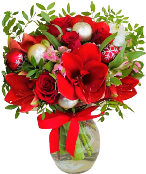 kup bukiet kwiatów z amarylis czerwony na święta z dostawą do domu lub wyślij pocztą za pośrednictwem kwiaciarni online Kwiaty Portal