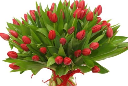 tulipany bukiet z dostawą poczta,kwiatowa wysyłks do domu