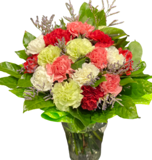 bukiet kwiatów goździki z dostawą do domu pocztą, kwiatowa dostawa, bukiet z dostawą kup online tanie kwiaty